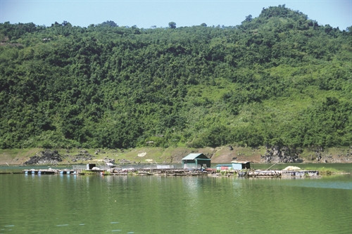 Với diện tích mặt nước rộng, cấp ủy, chính quyền xã Hiền Lương đã khuyến khích các đảng viên trẻ đi đầu trong khai thác, nuôi trồng thủy sản