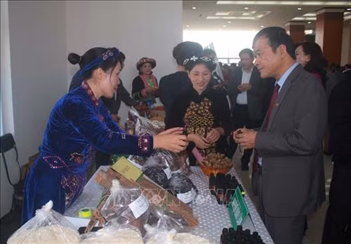 Đại biểu dự hội nghị tham quan các gian hàng bày bán sản phẩm đặc sản tỉnh Cao Bằng. Ảnh: Chu Hiệu - TTXVN. Đại biểu dự hội nghị tham quan các gian hàng bày bán sản phẩm đặc sản tỉnh Cao Bằng. Ảnh: Chu Hiệu - TTXVN.