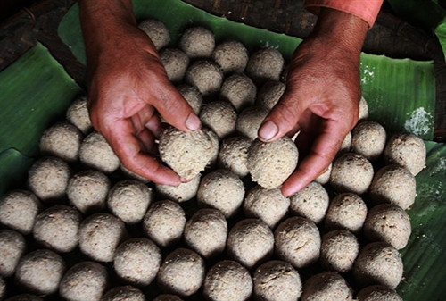 Men ủ rượu cần của người Mạ.