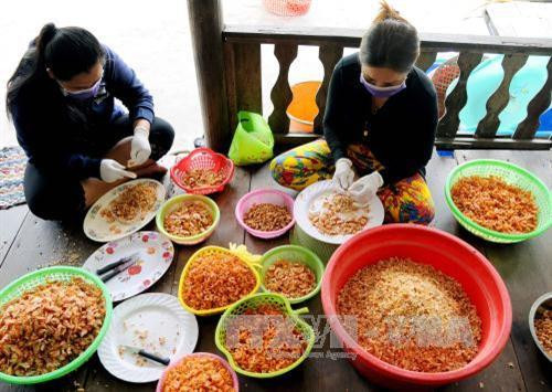 Sơ chế tôm khô tại HTX Tân Phát Lợi, xã Tân Ân Tây, huyện Ngọc Hiển. Ảnh: An Hiếu – TTXVN Sơ chế tôm khô tại HTX Tân Phát Lợi, xã Tân Ân Tây, huyện Ngọc Hiển. Ảnh: An Hiếu – TTXVN