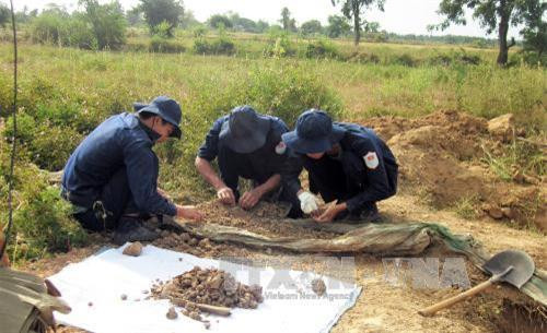 Ảnh tư liệu: các chiến sỹ Đội tìm kiếm, cất bốc hài cốt liệt sỹ tỉnh Tây Ninh - Đội K71 tại một khu mộ hài cốt liệt sỹ được tìm thấy. Ảnh: TTXVN