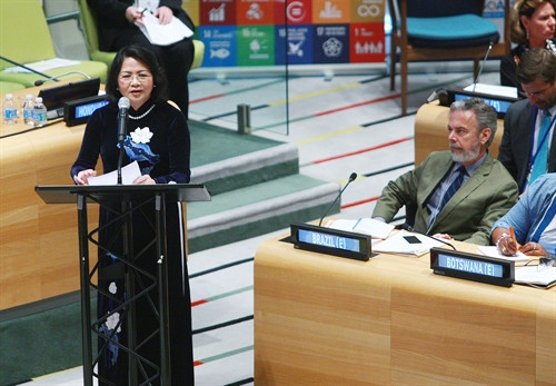 Phó Chủ tịch nước Đặng Thị Ngọc Thịnh phát biểu tại phiên họp. Ảnh: Lâm Khánh –TTXVN