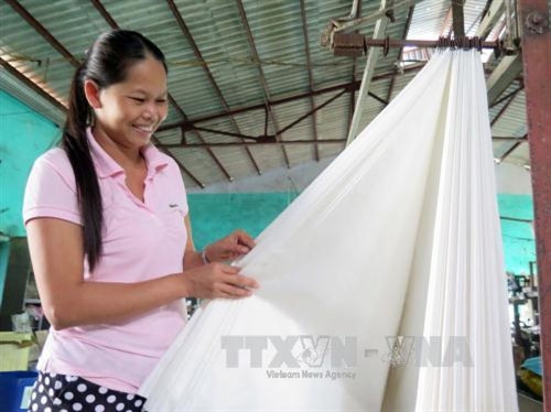 Khai mạc Festival Văn hóa Tơ lụa thổ cẩm Việt Nam - châu Á 2017 ảnh 7