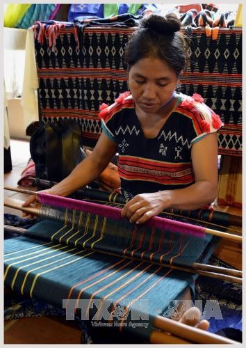 Khai mạc Festival Văn hóa Tơ lụa thổ cẩm Việt Nam - châu Á 2017 ảnh 3