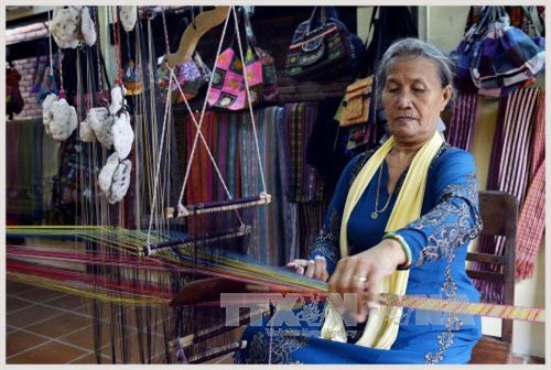 Khai mạc Festival Văn hóa Tơ lụa thổ cẩm Việt Nam - châu Á 2017 ảnh 4