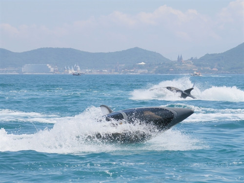 Tàu thể thao Seabreacher đang lướt trên sóng.