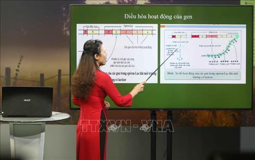 Để thực hiện chương trình, các giáo viên cùng tổ bộ môn đã họp với cán bộ, chuyên viên của Sở Giáo dục và Đào tạo Hà Nội để phân công lịch ghi hình, thống nhất nội dung giảng dạy của từng giáo viên. Ảnh: Thanh Tùng-TTXVN