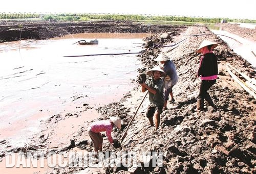 Để bảo đảm chất lượng thủy sản, sau mỗi vụ nuôi, ao cần được cải tạo triệt để