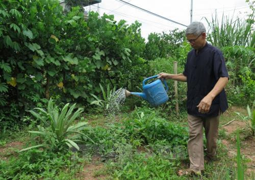 Ông Chựa hằng ngày chăm sóc vườn rau. Ảnh: Nguyễn Chiến - TTXVN Ông Chựa hằng ngày chăm sóc vườn rau. Ảnh: Nguyễn Chiến - TTXVN