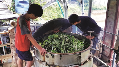 Anh Má A Nủ (bên phải) bên lò luyện tinh dầu