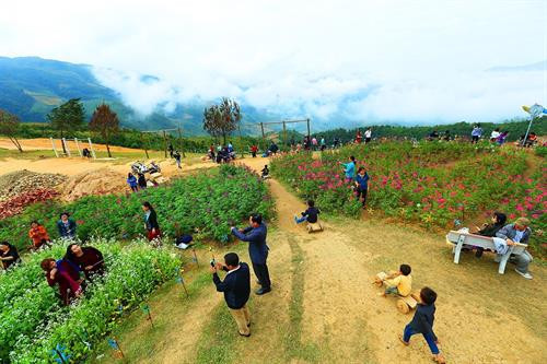 Du khách vui chơi tại khu du lịch Pha Đin Pass. Du khách vui chơi tại khu du lịch Pha Đin Pass.