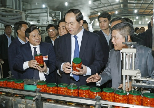 Chủ tịch nước Trần Đại Quang tham quan dây chuyền chế biến rau quả xuất khẩu của Công ty TNHH Hội Vũ. Ảnh: Nhan Sáng-TTXVN
