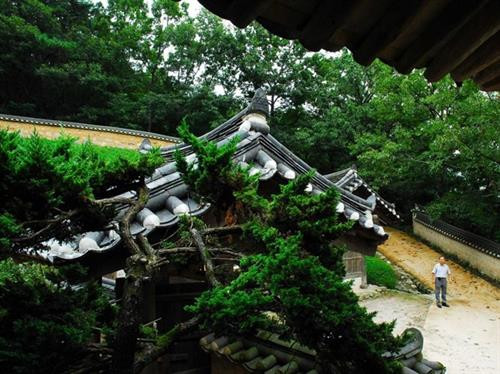 Địa điểm đứng đầu danh sách những ngôi làng, trấn cố là di sản UNESCO sở hữu kiến trúc truyền thống đặc sắc là làng Český Krumlov. Theo UNESCO, Český Krumlov – nằm dọc bên bờ sông Vitava ( CH Séc) – là một trong những ngôi làng trung cổ được bảo tồn tốt nhất ở Đông Âu. Làng cổ Shirakawa-go (tỉnh Gifu, Nhật Bản) nổi tiếng với hơn 30 mái nhà có hình dáng như hai bàn tay úp lại vào nhau lúc đang cầu nguyện Thành cổ Lệ Giang (tỉnh Vân Nam, Trung Quốc) được thành lập từ thế kỉ 13 cho đến nay vẫn lưu giữ gần như nguyên vẹn cấu trúc đô thị cổ Thị trấn mỏ lâu đời nhất ở Slovakia, Banská Štiavnica. Làng Holašovice, nằm ở tỉnh Nam Holašovice (CH Séc), lưu giữ những tòa nhà có từ hồi thế kỉ 18 và 19 cũng như 23 trang trại cổ xưa. Vlkolínec là một khu phố đẹp của thành phố Ruzomberok (Slovakia). Về lịch sử, địa danh được UNESCO công nhận di sản thế giới vốn là một ngôi làng riêng. Nơi đây, có các ngôi nhà mang đậm kiến trúc nông thôn vùng phía bắc dãy núi Karpat. UNESCO mô tả ngôi làng Hollokö là một “địa điểm điển hình về lối sống nông thôn trước cuộc cách mạng công nghiệp thế kỉ 20” nhờ một loạt các vườn cây trái, vườn nho, đồng cỏ và các di tích lâu đài thời trung cổ có từ năm 1310. Thị trấn Bardejov (nằm ở thượng nguồn sông Topl của Slovakia) là một hình mẫu tiêu biểu cho các thị trấn giao thương truyền thống ở Trung Âu thời trung cổ. Theo UNESCO, làng Zili (thị trấn Đường Khẩu, thành phố Khai Bình, tỉnh Quảng Đông, Trung Quốc) sở hữu những ngôi nhà mang đậm phong cách kiến trúc của La Mã, Hồi giáo, Ba rốc. Đặc biệt, phía bên ngoài, các tòa nhà này đều mang hơi hướng phong cách phương Tây nhưng nội thất bên trong đều theo phong cách truyền thống của Trung Quốc. Thị trấn cổ Tallinn ở Estonia chứa đựng những dấu tích cổ xưa nhất trong phong cách kiến trúc châu Âu như những bức thành cổ, lối đi lát đá, nhà thờ, ngọn tháp. Ngôi làng Xidi nằm ở Quận Yi, vùng Quý Châu, tỉnh An Huy, Trung Quốc còn lưu giữ những ngôi nhà dân làm bằng gỗ từ thời nhà Minh, nhà Thanh. Làng Hongcun cũng nằm ở Quận Yi của tỉnh An Huy được bao quanh bởi những ngọn đồi và các dòng suối trong veo chảy vắt ngang ngôi làng. Làng Hahoe, tỉnh Gyeongsangbuk-do của Hàn Quốc là khu vực bảo tồn những công trình kiến trúc có từ thời Joseon. Làng Yangdong (Gyeongju , Hàn Quốc) có tới hơn 150 ngôi nhà có mái lát gạch được xây dựng trên khắp các khu rừng xung quanh.