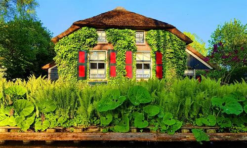 Những trải nghiệm thú vị ở Hà Lan - đất nước thiên đường ảnh 16