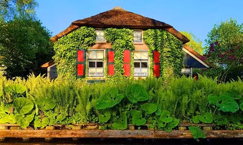 Những trải nghiệm thú vị ở Hà Lan - đất nước thiên đường ảnh 16