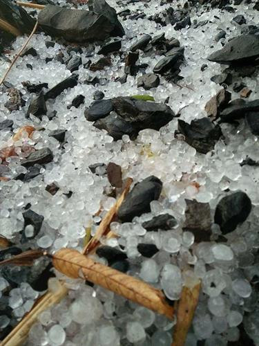 Hạt mưa đá to bằng ngón tay trỏ đọng lại trên nền đất. Ảnh: Xuân Tiến -TTXVN Hạt mưa đá to bằng ngón tay trỏ đọng lại trên nền đất. Ảnh: Xuân Tiến -TTXVN