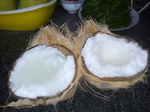 Đặc sản dừa sáp Trà Vinh ảnh 5 Đặc sản dừa sáp Trà Vinh ảnh 5