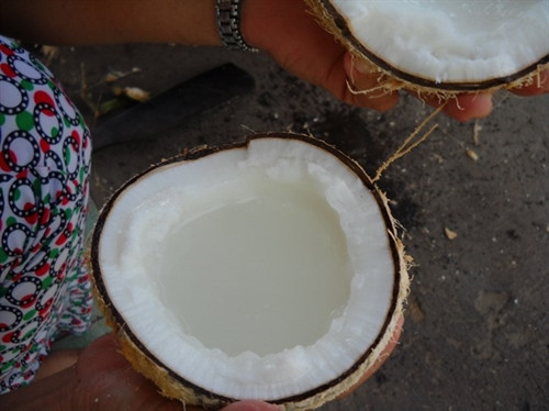 Đặc sản dừa sáp Trà Vinh ảnh 7 Đặc sản dừa sáp Trà Vinh ảnh 7