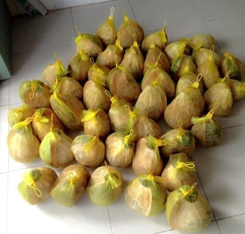 Đặc sản dừa sáp Trà Vinh ảnh 6 Đặc sản dừa sáp Trà Vinh ảnh 6