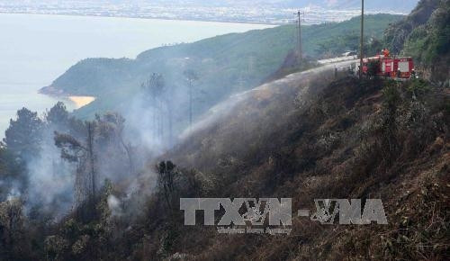 Cơ bản khống chế vụ cháy lớn tại rừng Nam Hải Vân ảnh 1