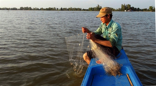 Anh Nguyễn Văn Tý (ở xã Phú Lộc, thị xã Tân Châu, An Giang) giăng lưới bắt cá kiếm thêm chút thu nhập cho gia đình khi mùa nước lũ . Anh Nguyễn Văn Tý (ở xã Phú Lộc, thị xã Tân Châu, An Giang) giăng lưới bắt cá kiếm thêm chút thu nhập cho gia đình khi mùa nước lũ .
