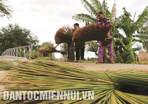 Sau khi khai thác từ những ruộng ngập mặn, cỏ bàng được chở bằng ghe tới các cơ sở sản xuất sản phẩm sinh hoạt và mỹ nghệ từ cỏ bàng ở xã Phú Mỹ. Ảnh: Trần Việt Công đoạn phơi khô cỏ bàng. Ảnh: Trần Việt Các sản phẩm từ cây cỏ bàng thường là chiếu, đệm, giá đựng đồ, túi xách, nón.... Ảnh: Trần Việt Ép cỏ bàng thành sợi mỏng. Ảnh: Trần Việt Sau khi khai thác từ những ruộng ngập mặn, cỏ bàng được chở bằng ghe tới các cơ sở sản xuất sản phẩm sinh hoạt và mỹ nghệ từ cỏ bàng ở xã Phú Mỹ. Ảnh: Trần Việt Công đoạn phơi khô cỏ bàng. Ảnh: Trần Việt Các sản phẩm từ cây cỏ bàng thường là chiếu, đệm, giá đựng đồ, túi xách, nón.... Ảnh: Trần Việt Ép cỏ bàng thành sợi mỏng. Ảnh: Trần Việt