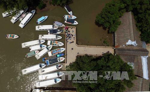 Hệ thống cầu tàu dành cho du khách tham quan hệ sinh thái ngập nước bằng ca nô tại Khu Công viên văn hóa – Du lịch Mũi Cà Mau. Ảnh: An Hiếu – TTXVN