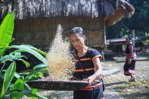 Hình ảnh quen thuộc của những người phụ nữ trong buôn làng vào các ngày lễ hội. Ảnh: Trọng Đạt - TTXVN