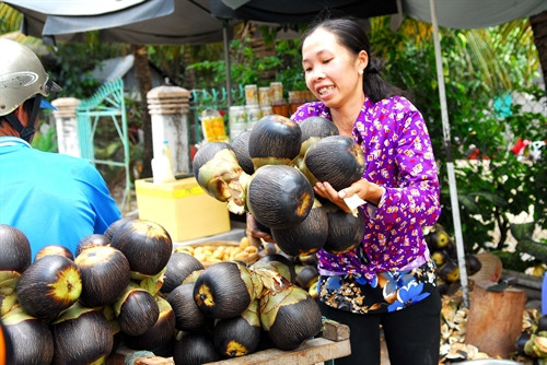 Quả thốt nốt được bày bán nhiều nơi trên địa bàn huyện Tri Tôn và Tịnh Biên (An Giang).