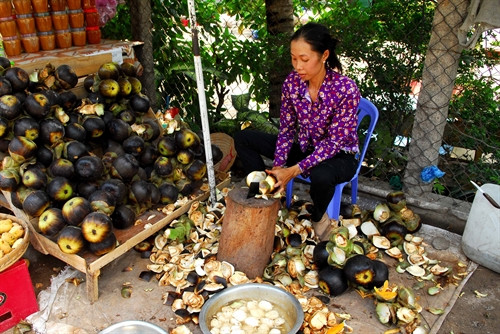 Quả thốt nốt được bày bán nhiều nơi trên địa bàn huyện Tri Tôn và Tịnh Biên (An Giang).