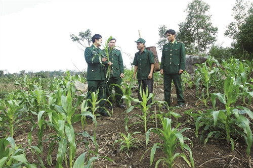 Bộ đội biên phòng huyện Hướng Hóa hướng dẫn kỹ thuật trồng cây cho già làng Hồ Lua Bộ đội biên phòng huyện Hướng Hóa hướng dẫn kỹ thuật trồng cây cho già làng Hồ Lua