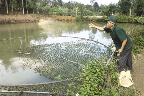 Già làng Hồ Lua là tấm gương nông dân vươn lên làm giàu trên chính mảnh đất quê hương