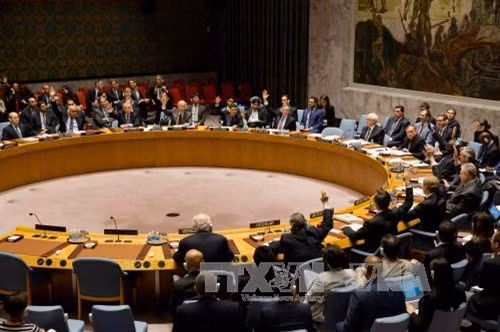 HĐBA bác dự thảo nghị quyết của Pháp và Nga về Syria ảnh 1