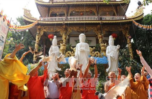 Chư tăng Lào – Việt Nam cùng Phật tử và bà con đã cùng nhau thực hiện nghi thức phóng sinh nhằm thể hiện ước muốn được chung sống trong hòa bình cùng xây dựng và phát triển quê hương đất nước. Ảnh: Phạm Kiên – TTXVN