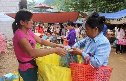 Lá gai là nguyên liệu chính để làm bánh gai trong ngày Rằm tháng Bảy