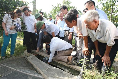 Ông Phan Nhân Lợi ở xã Sài Sơn, huyện Quốc Oai (Hà Nội) kiểm tra máy thổi khí 24/24h, hệ thống si phông để thu gom chất thải và thức ăn dư thừa tránh gây ô nhiễm cho môi trường nước. Trung tâm Khuyến nông Hà Nội tổ chức tập huấn kỹ thuật nuôi cá chép ứng dụng công nghệ "sông trong ao" cho 100% các hộ tham gia mô hình và một số hộ dân nuôi trồng thủy sản tại địa phương.