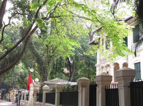 Hẹn gặp lại, sắc trắng hoa sưa ảnh 9