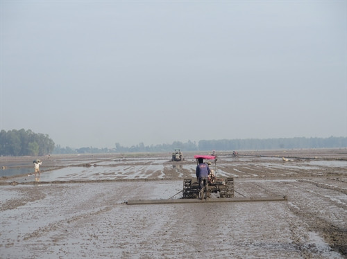 Nông dân xã Tân Hộ Cơ, huyện Tân Hồng (Đồng Tháp) làm đất chuẩn bị cho vụ sản xuất mới