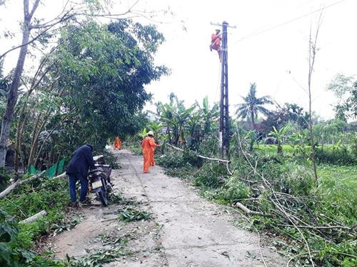 Khoảng 2.000ha lúa đông xuân đang trổ đòng - ngậm sữa ở nhiều địa phương của Quế Sơn bị ngã đổ nghiêm trọng. Ảnh: baoquangnam.vn Ngành điện lực huyện Quế Sơn khắc phục sự cố điện do lốc xoáy gây ra. Ảnh: baoquangnam.vn Khoảng 2.000ha lúa đông xuân đang trổ đòng - ngậm sữa ở nhiều địa phương của Quế Sơn bị ngã đổ nghiêm trọng. Ảnh: baoquangnam.vn Ngành điện lực huyện Quế Sơn khắc phục sự cố điện do lốc xoáy gây ra. Ảnh: baoquangnam.vn