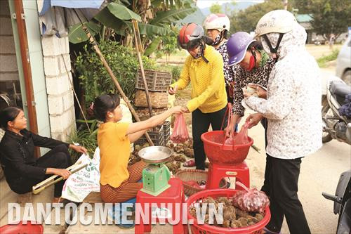Hạt dẻ Trùng Khánh được coi là một thứ quà độc đáo của núi rừng Cao Bằng