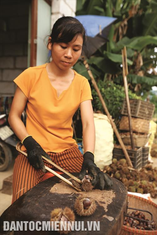 Công đoạn tách vỏ hạt dẻ