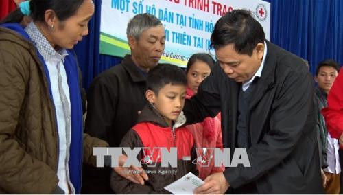 Thay mặt đoàn công tác của Ban Chỉ đạo Trung ương về Phòng chống thiên tai và Hội Chữ thập đỏ Việt Nam, đồng chí Nguyễn Xuân Cường, Bộ trưởng Bộ NN&PTNT trao tặng 41 suất quà Tết cho các hộ dân thuộc 2 huyện Tân Lạc và Mai Châu. Ảnh: Vũ Hà-TTXVN