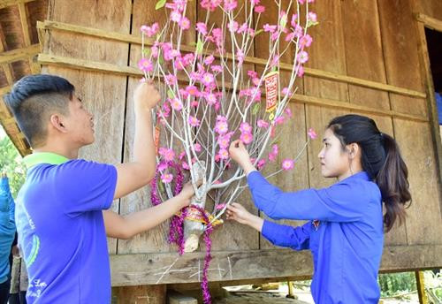Các bạn đoàn viên gắng những cành đào, cành mai lên những ngôi nhà của đồng bào tại làng thanh niên lập nghiệp xã Sơn Bua, huyện Sơn Tây, tỉnh Quảng Ngãi. Ảnh quangngai.gov.vn