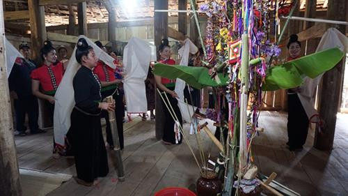 Bà con múa hát xung quanh cây Xăng Bók. Ảnh: Nam Sương