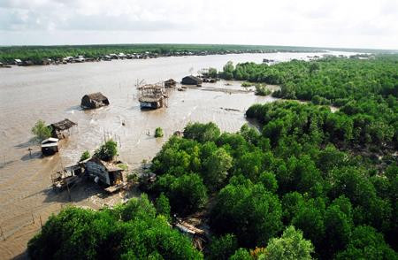 Ven rừng Ramsar. Ảnh: Huỳnh Lâm - TTXVN Ven rừng Ramsar. Ảnh: Huỳnh Lâm - TTXVN