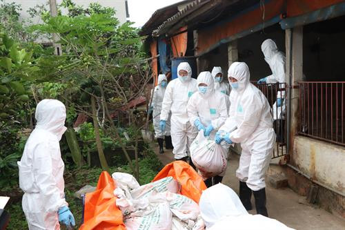 Hà Nội tổ chức Diễn tập thực hành "Kế hoạch hành động ứng phó khẩn cấp với bệnh dịch tả lợn châu Phi".