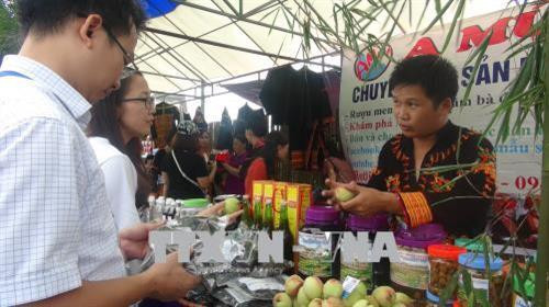 Gian trưng bày, giới thiệu nông sản vùng cao Lạng Sơn đến khách du lịch. Ảnh: Quang Duy - TTXVN Gian trưng bày, giới thiệu nông sản vùng cao Lạng Sơn đến khách du lịch. Ảnh: Quang Duy - TTXVN