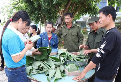 Người dân và các lực lượng vũ trang tham gia thi gói bánh chưng vào chiều 23/1/2019 tại xã vùng biên Ia Dal. Ảnh: Cao Nguyên – TTXVN Người dân và các lực lượng vũ trang tham gia thi gói bánh chưng vào chiều 23/1/2019 tại xã vùng biên Ia Dal. Ảnh: Cao Nguyên – TTXVN