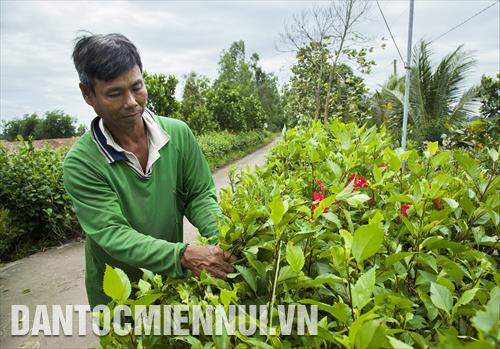 Người dân xã Vĩnh Điều (Giang Thành, Kiên Giang) tham gia làm hàng rào, góp phần chỉnh trang diện mạo nông thôn mới Người dân xã Vĩnh Điều (Giang Thành, Kiên Giang) tham gia làm hàng rào, góp phần chỉnh trang diện mạo nông thôn mới
