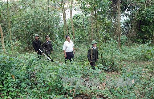 Lực lượng Kiểm lâm huyện Chợ Mới phối hợp với cán bộ địa phương tuần tra, kiểm soát bảo vệ rừng. Ảnh: Quang Quyết - TTXVN Lực lượng Kiểm lâm huyện Chợ Mới phối hợp với cán bộ địa phương tuần tra, kiểm soát bảo vệ rừng. Ảnh: Quang Quyết - TTXVN